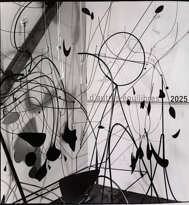 calder-studio-assorted-wires_voeux2025.jpg